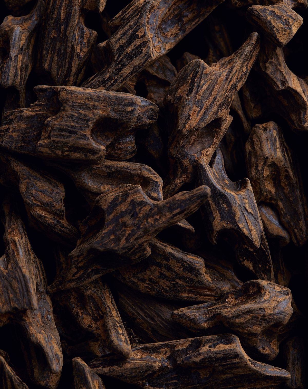 Indonesian Marouki Assakouf oud