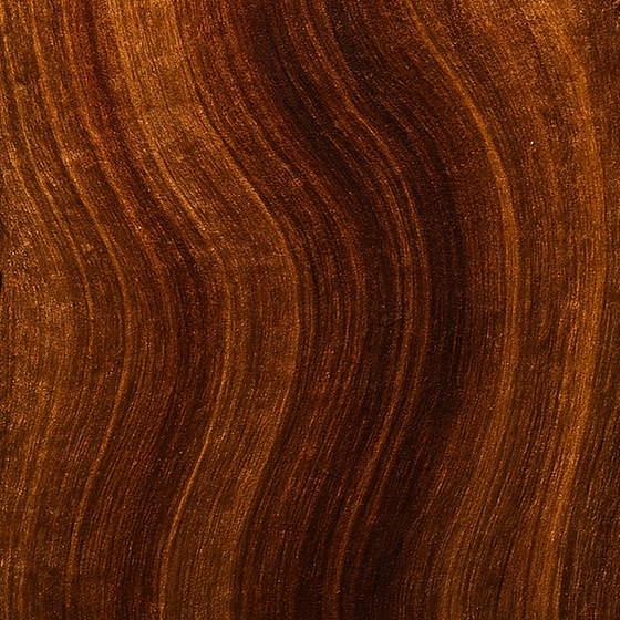 Mysore sandalwood from southern India