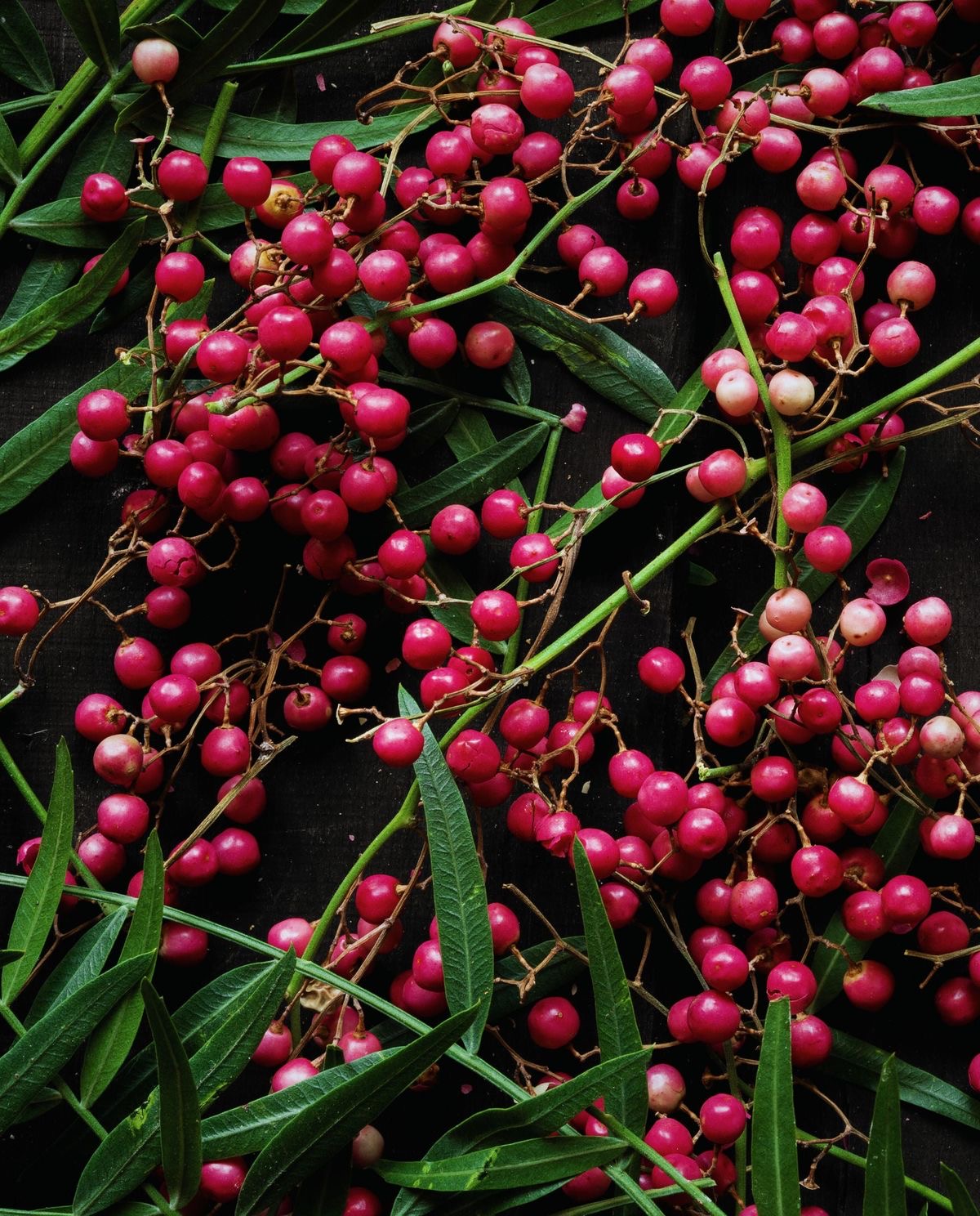 Pink pepper from Réunion Island